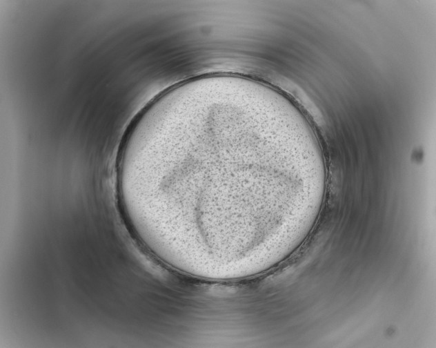 X0000103150890200809192027