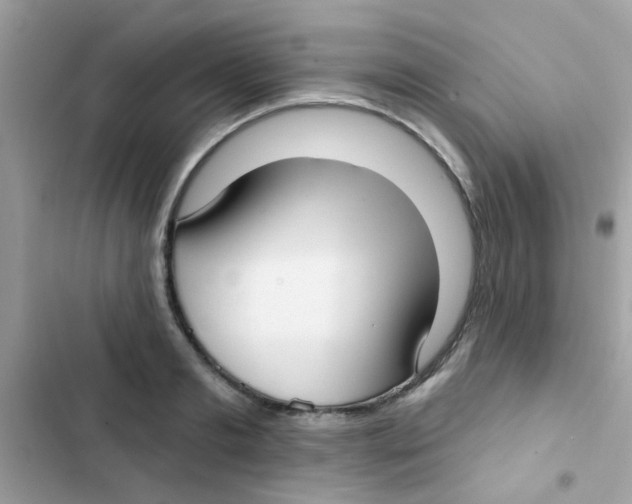 X0000103150893200809192027