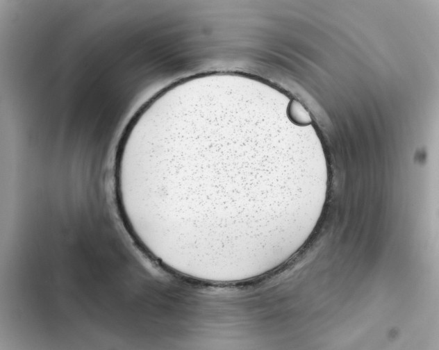 X0000103150894200809192027