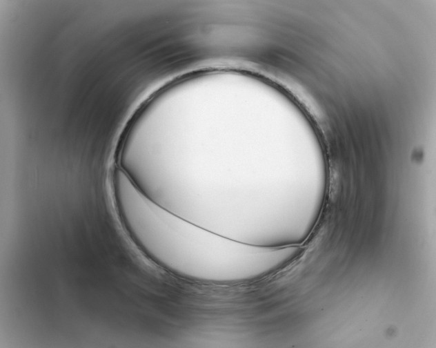 X0000103150895200809192026