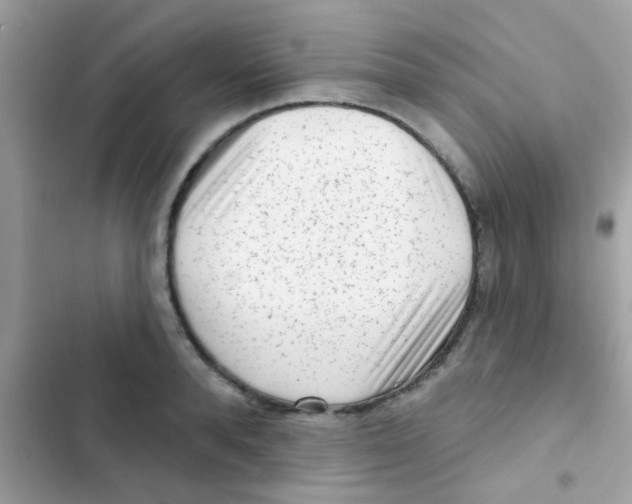 X0000103150896200809192026