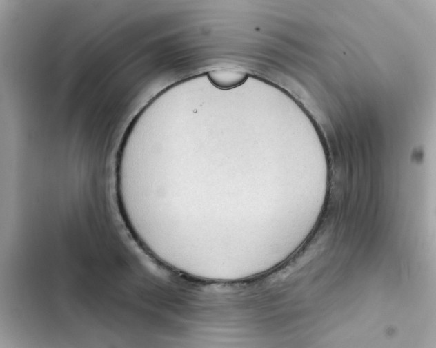 X0000103150898200809192026