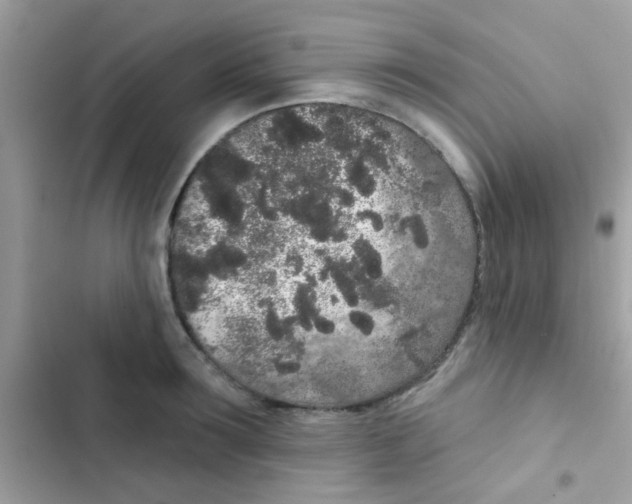 X0000103150899200809192026