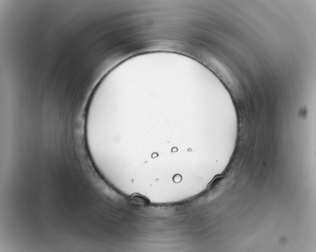 X0000103150900200809192026