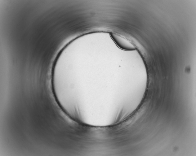 X0000103150902200809192026