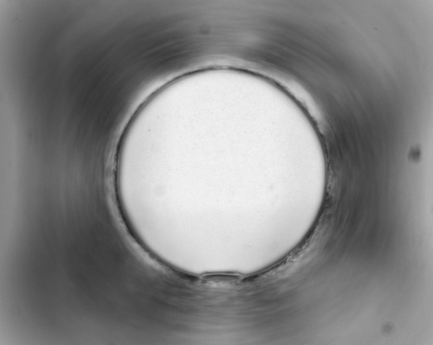 X0000103150903200809192026