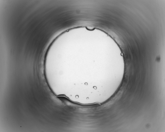 X0000103150904200809192026