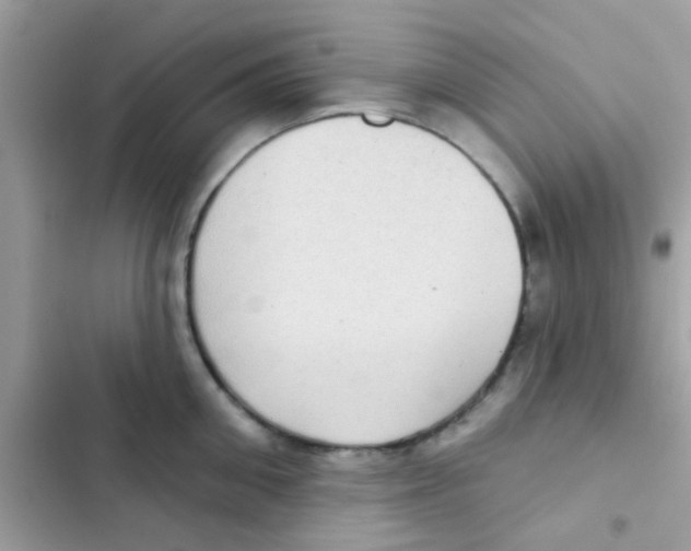 X0000103150906200809192026