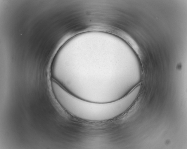 X0000103150907200809192026