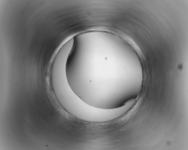 X0000103150908200809192026