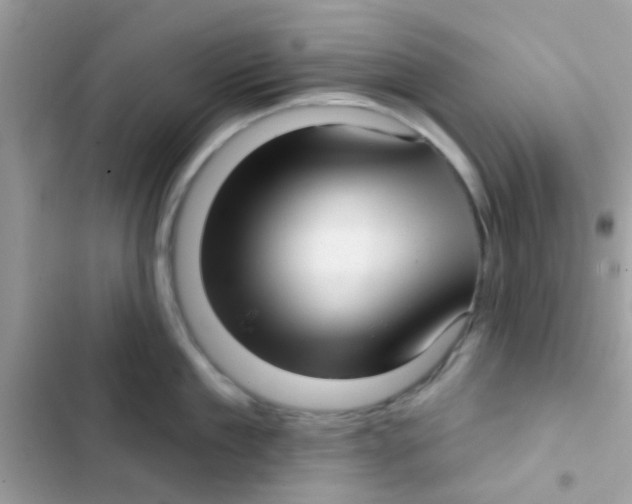 X0000103150909200809192026