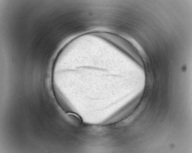 X0000103150910200809192026