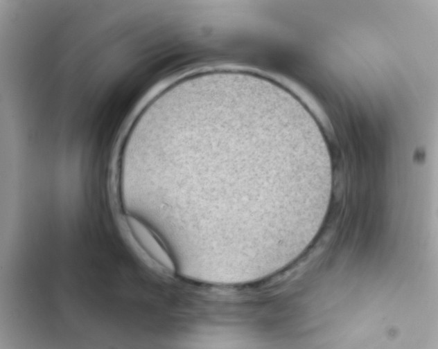 X0000103150911200809192026