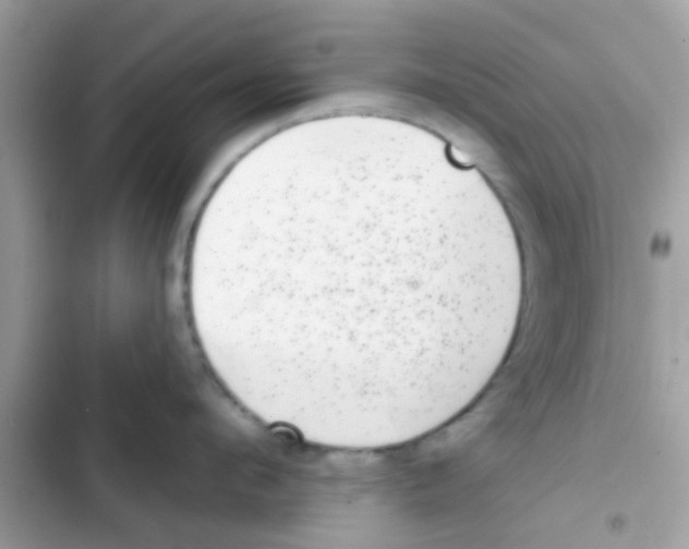 X0000103150912200809192026