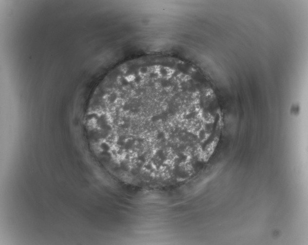 X0000103150913200809192025