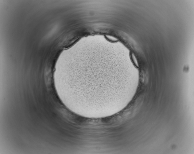 X0000103150915200809192025