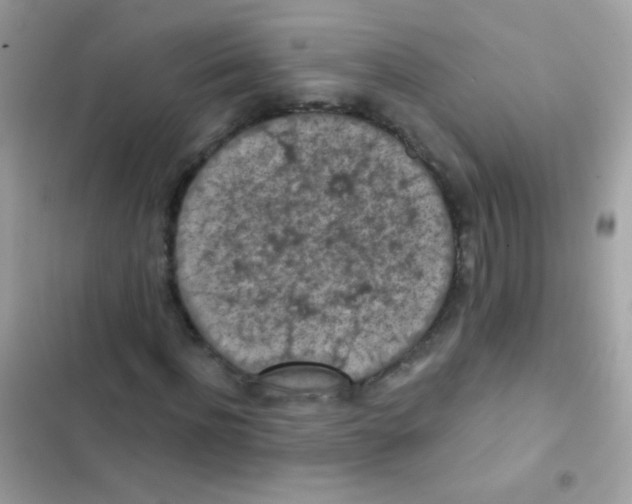 X0000103150916200809192025