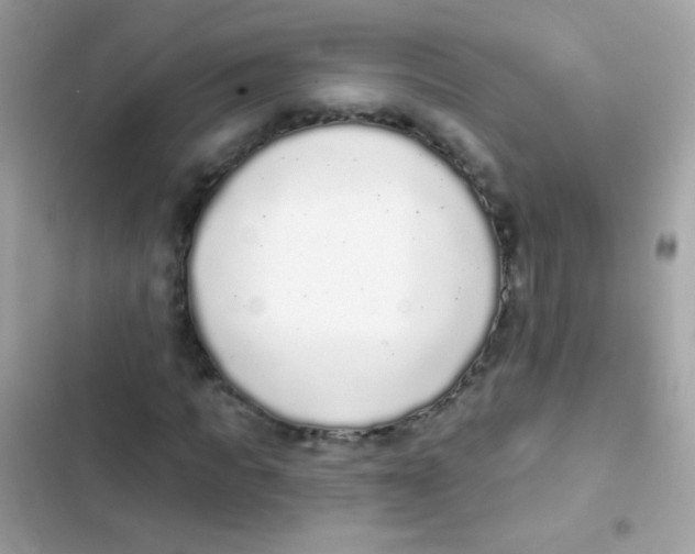 X0000103150917200809192025