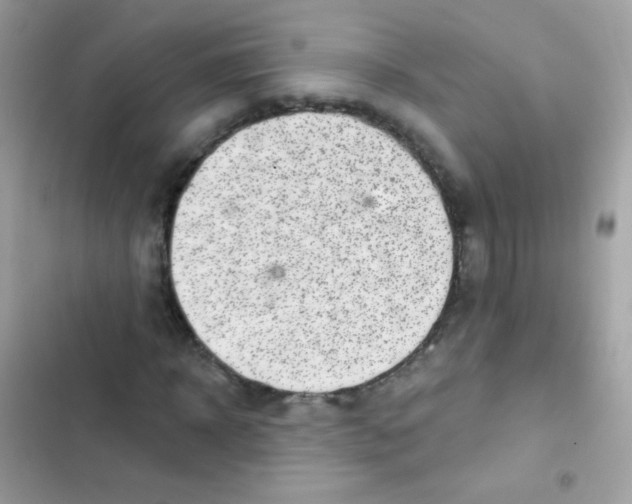 X0000103150918200809192025