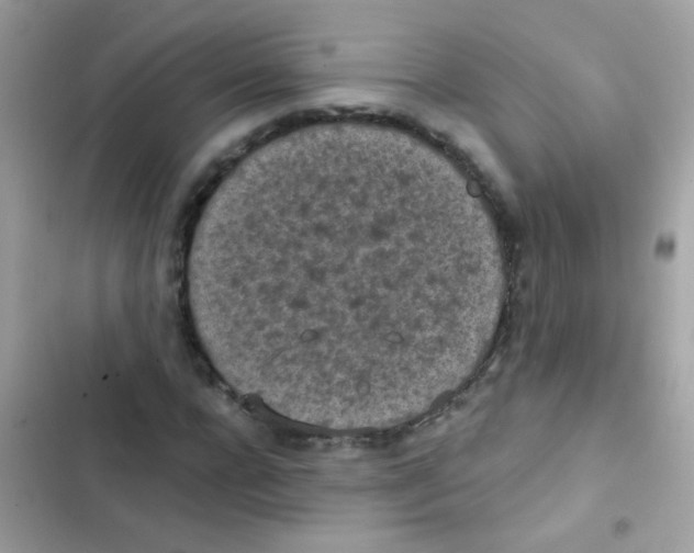 X0000103150920200809192025