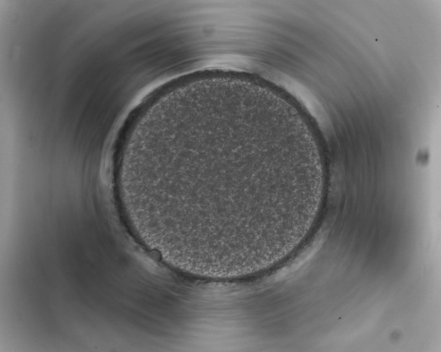 X0000103150923200809192026