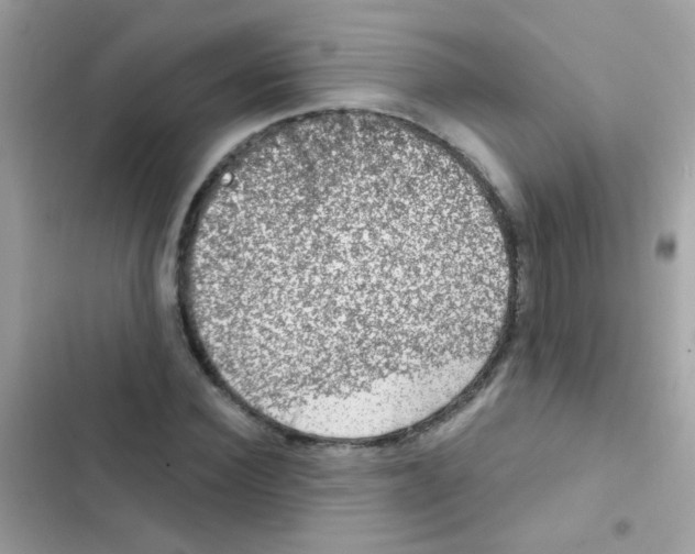 X0000103150924200809192026