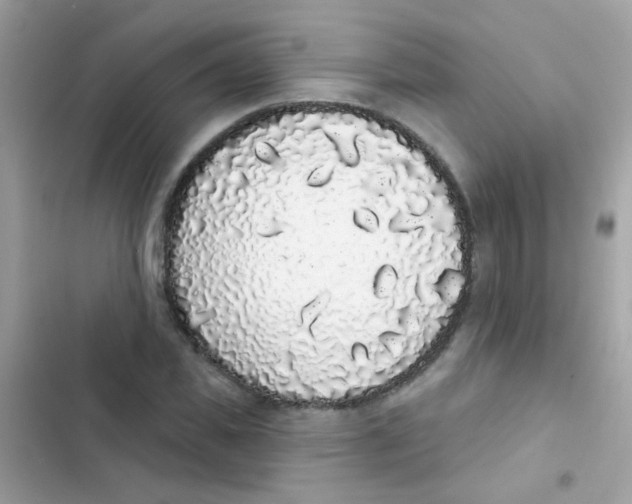 X0000103150925200809192026