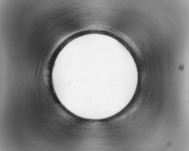 X0000103150926200809192026