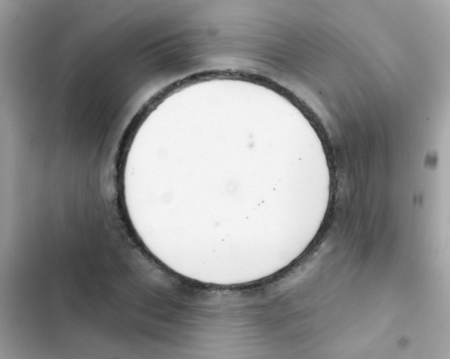 X0000103150927200809192026