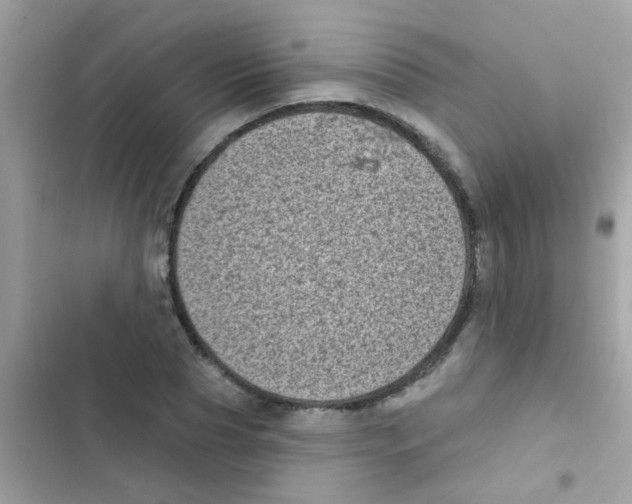 X0000103150929200809192026