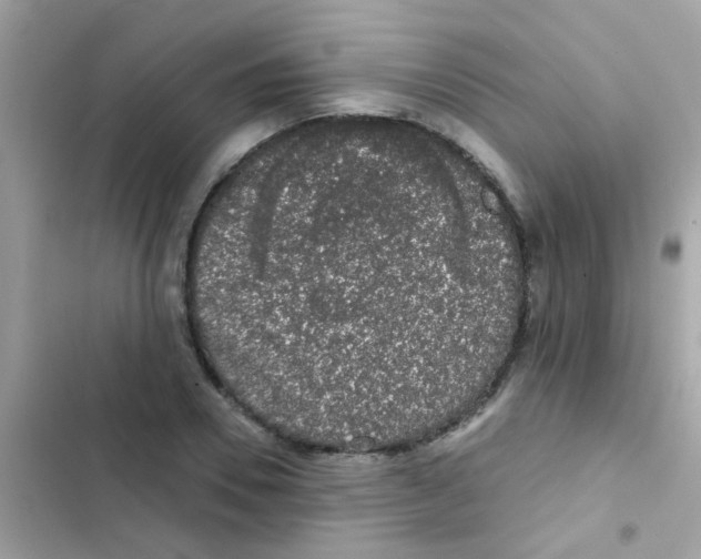 X0000103150930200809192026