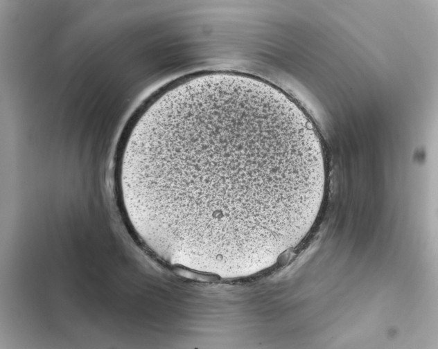 X0000103150932200809192026