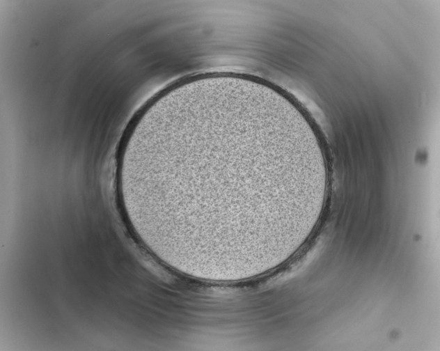 X0000103150933200809192026