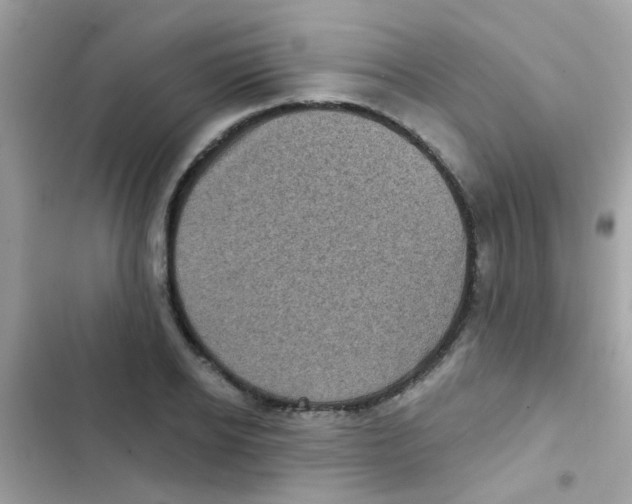 X0000103150934200809192026