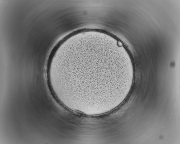 X0000103150935200809192026