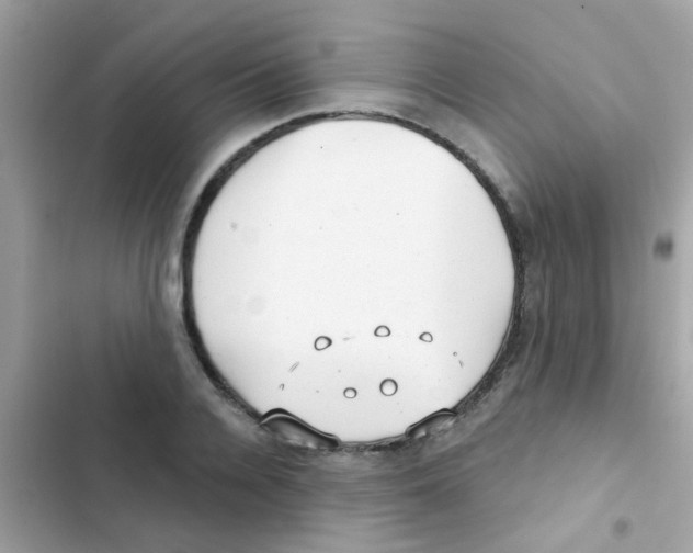 X0000103150936200809192026