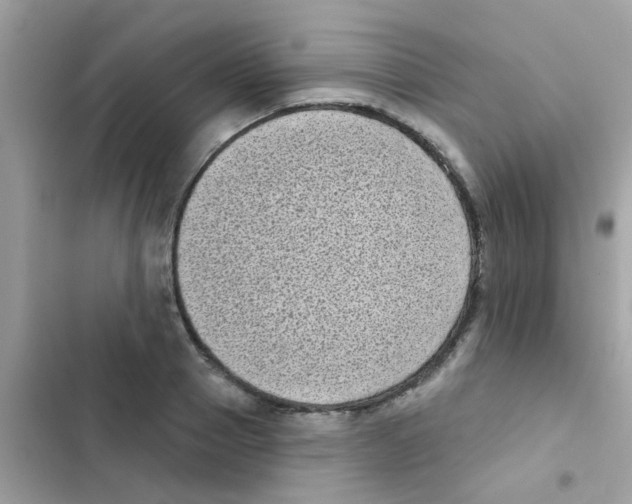 X0000103150937200809192026