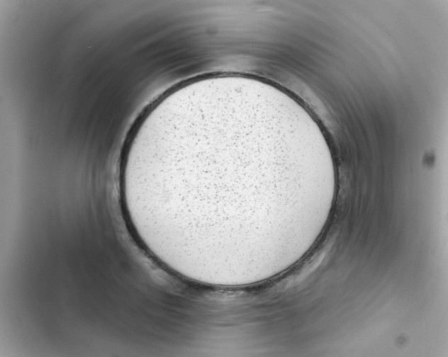 X0000103150939200809192026