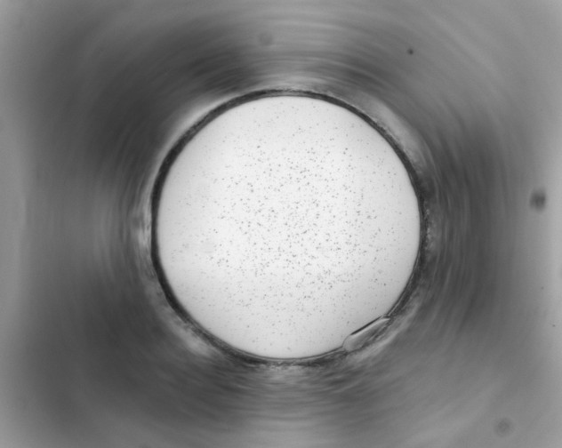 X0000103150940200809192026