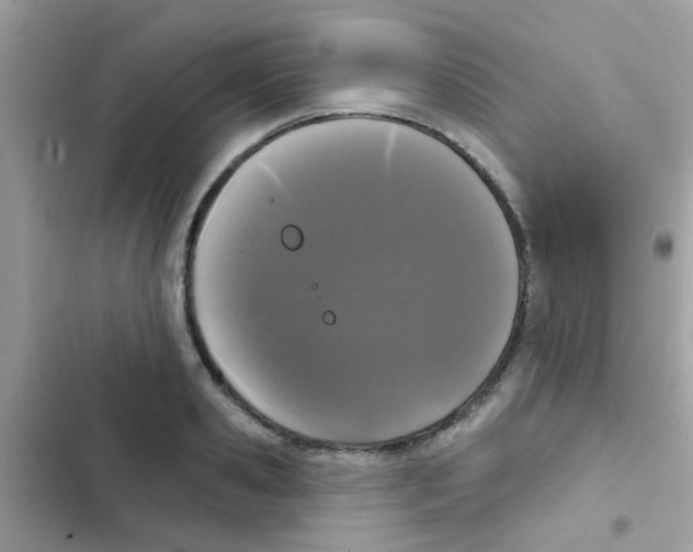 X0000103150941200809192026