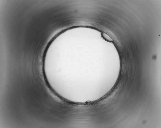 X0000103150942200809192026