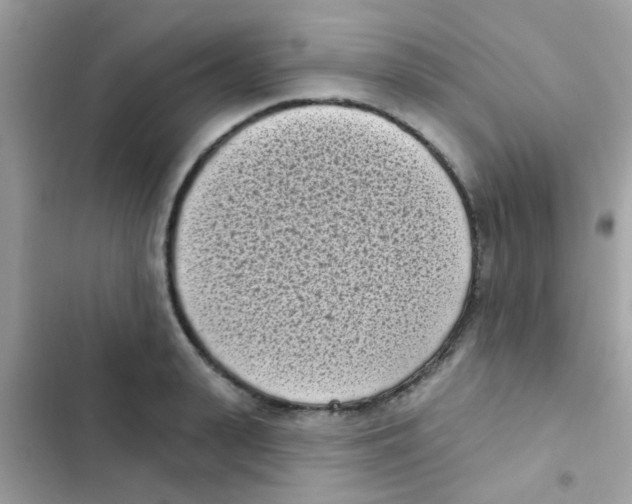 X0000103150943200809192026