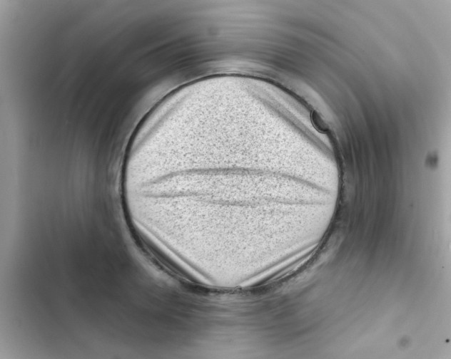 X0000103150946200809192026