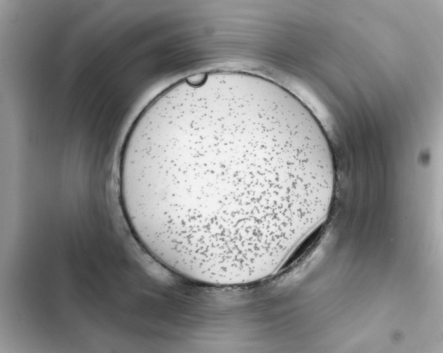 X0000103150948200809192026