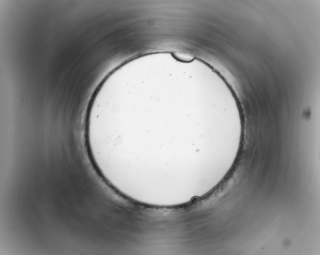 X0000103150949200809192026