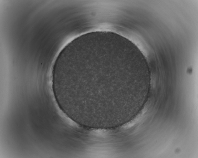 X0000103150950200809192026