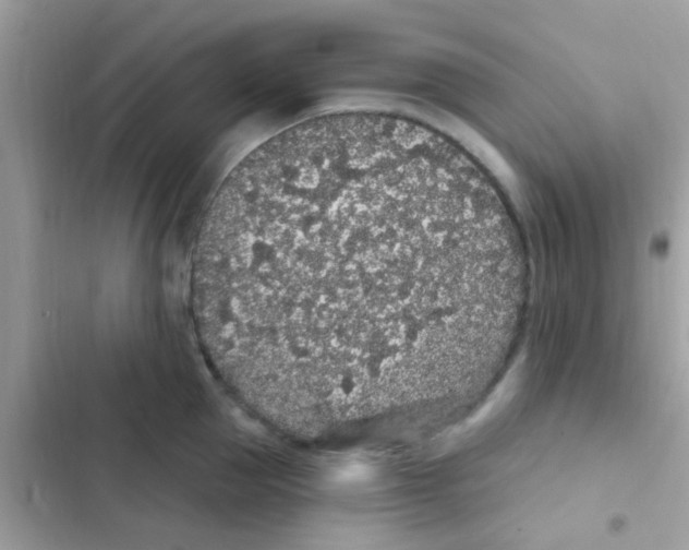 X0000103150953200809192026