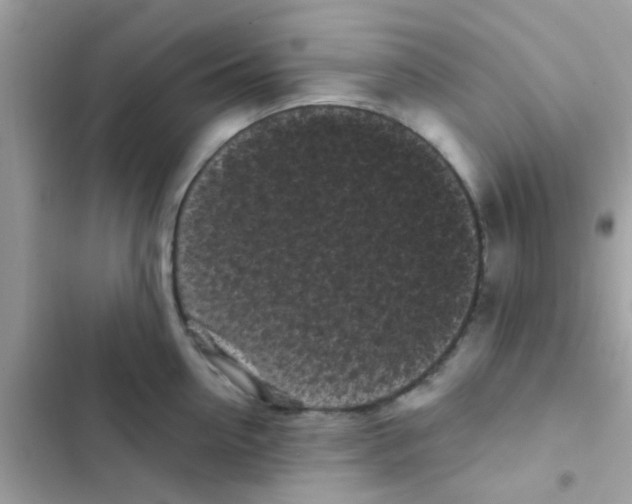 X0000103150954200809192026