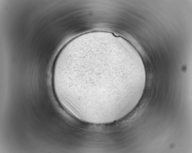 X0000103150955200809192026