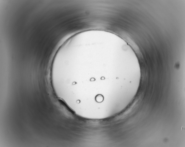 X0000103150956200809192026